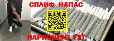 СК Краснодар