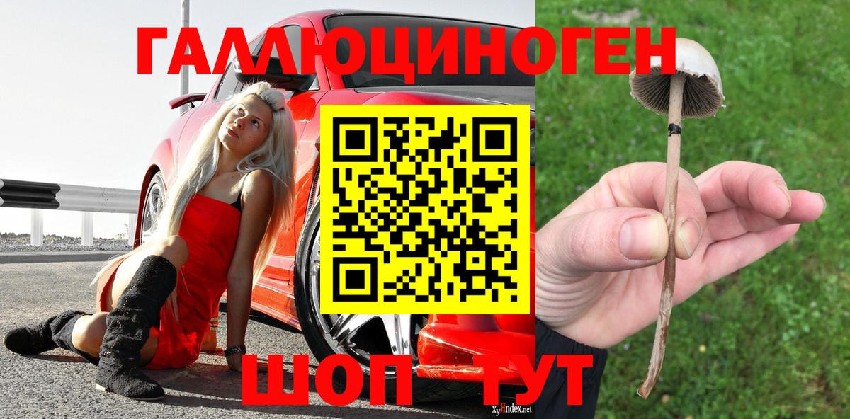 Галлюциногенные грибы Magic Shrooms Керчь